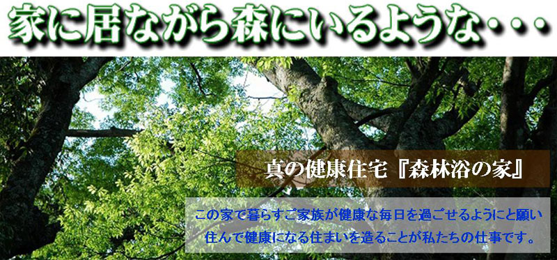 �C���f�b�N�X�@�^�̌��N�Z��@�X�ї��̉�